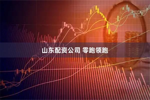 山东配资公司 零跑领跑